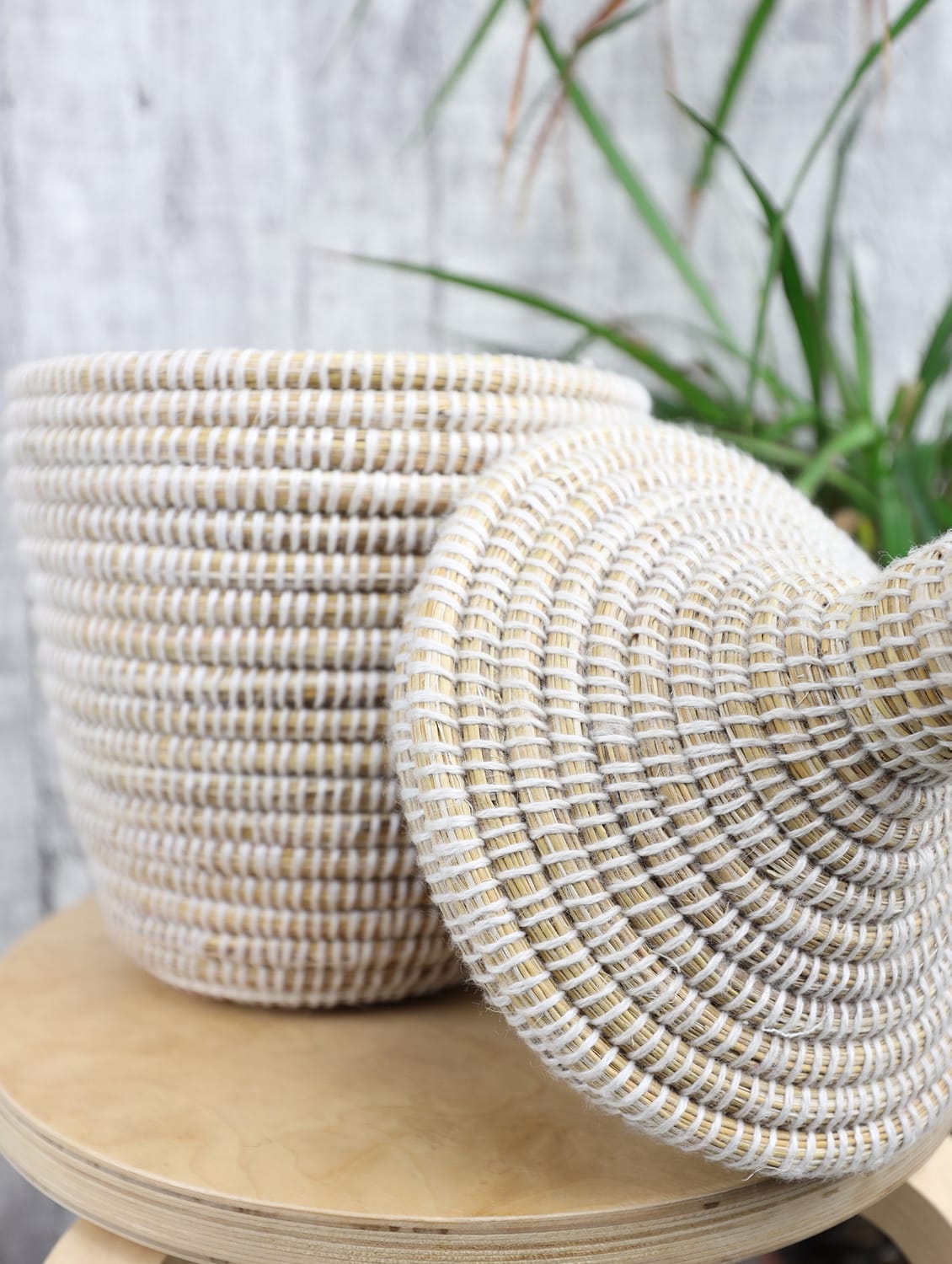 African Basket, Storage Basket, Plant basket